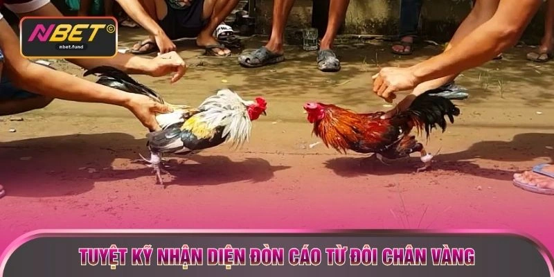 Tuyệt kỹ nhận diện đòn cáo từ đôi chân vàng 